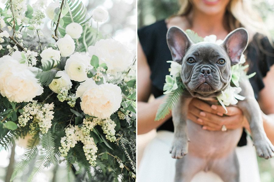 wedding french bulldog, wedding dogs, wedding frenchie, flynn da frenchie, Fallon Taylor Alex wedding photos, Fallon Taylor wedding pictures, Stevens Point Elopement by Carly McCray, Stevens Point wedding photographers, Wausau Wedding photographers, lake geneva wedding photographers, door county wedding photographers, moody wisconsin greenery wedding, greenery wedding, Iverson park wedding, horse wedding, seniman calligraphy, frontier flowers of fontana wedding, et voila events wedding, Carly McCray fine art Wisconsin wedding photographer, wedding peonies, double exposure