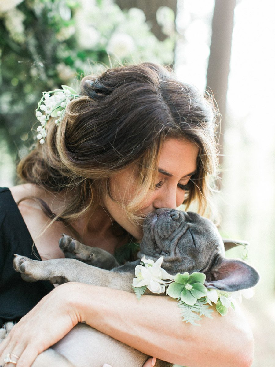 Fallon Taylor Alex wedding photos, Fallon Taylor wedding pictures, Stevens Point Elopement by Carly McCray, Stevens Point wedding photographers, Wausau Wedding photographers, lake geneva wedding photographers, door county wedding photographers, moody wisconsin greenery wedding, greenery wedding, Iverson park wedding, horse wedding, seniman calligraphy, frontier flowers of fontana wedding, et voila events wedding, Carly McCray fine art Wisconsin wedding photographer, wedding peonies, double exposure