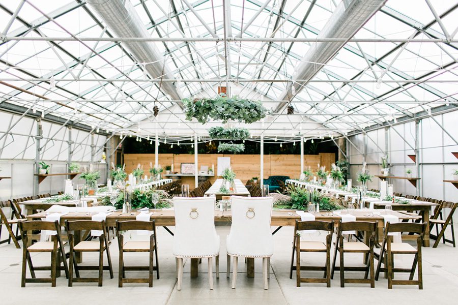 Greenhouse at Bittersweet wedding photography, greenhouse at bittersweet wedding, greenhouse wedding, wisconsin greenhouse wedding, charmant hotel wedding, charmant wedding photos, charmant wedding photographer, luxury wedding photographers, boutique wedding photography, carly mccray photography, groom wedding style, groom wedding clothes, greenhouse wedding Wisconsin