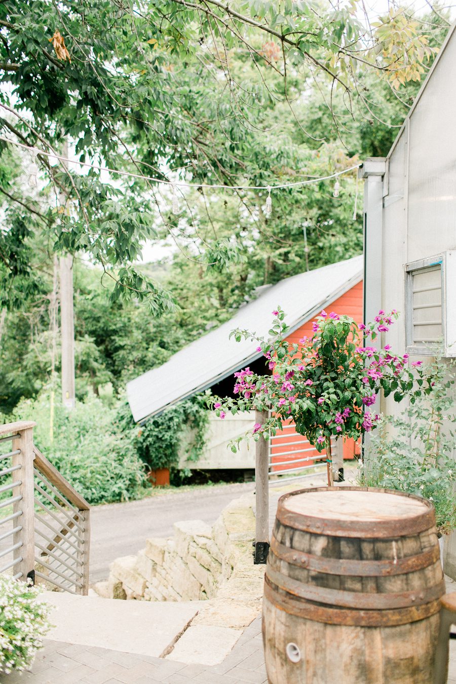 modern greenhouse wedding photos, carly mccray photography, lake geneva wedding photographer, madison wedding photographers, modern greenery wedding, modern wisconsin greenhouse wedding, modern greenery wedding, sleek wedding dress, greenery boutonnieres, black taper candles, green florals, modern greens